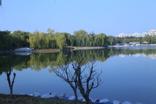 公园风景  
