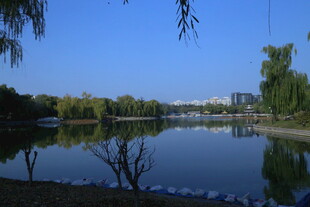 公园风景 