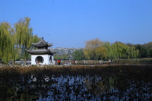 公园风景 