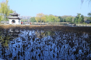 公园风景 