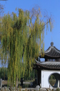 公园风景  