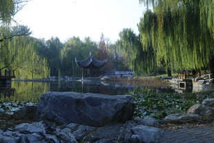 公园风景 