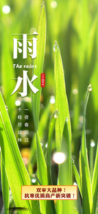 雨水