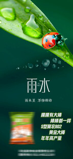 雨水