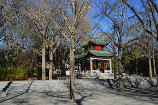 公园风景  