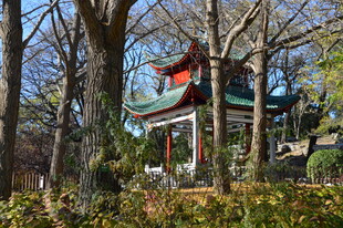 公园风景 