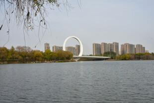 蝶湖公园