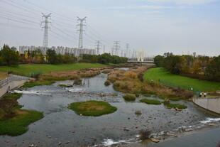 城市湿地公园