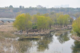 城市公园