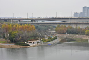 城市公园
