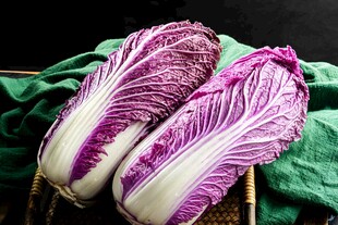紫晶白菜