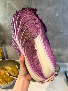 紫晶白菜