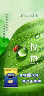 惊蛰