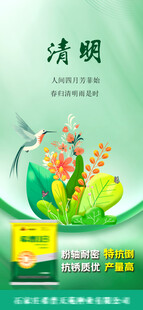 清明