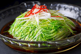 高山脆松柳 