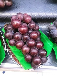 黑提子
