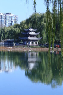 公园风景 
