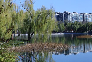 公园风景 