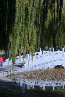 公园风景  