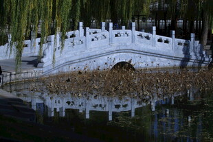 公园风景  
