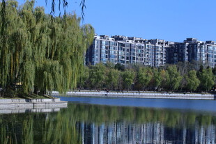 公园风景 