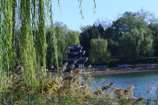 公园风景  