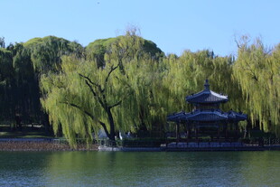 公园风景 