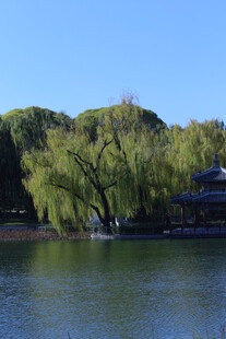 公园风景  