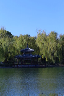 公园风景  