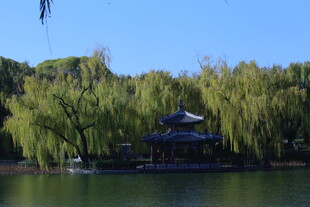 公园风景  