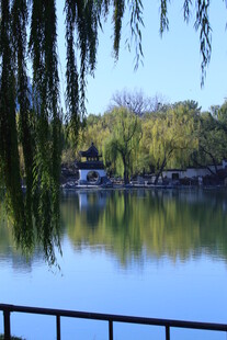 公园风景 