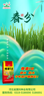春分