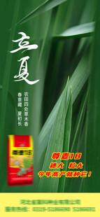 立夏