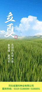 立夏
