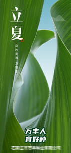 立夏