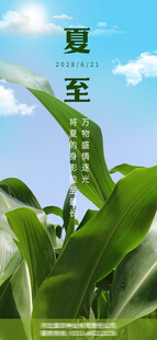 夏至