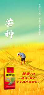 芒种