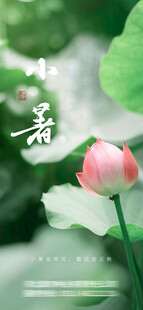 小暑