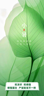 小暑