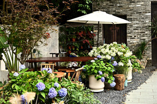 古镇绿植环绕的庭院休憩户外桌椅