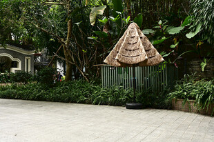 庭院里用稻草编织的遮阳伞