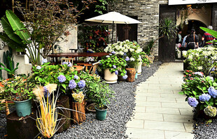 古镇绿植环绕的庭院休憩户外桌椅