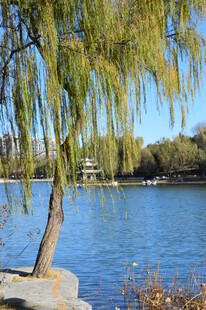公园风景 