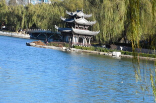 公园风景 