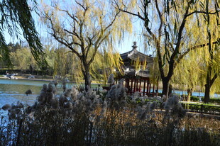 公园风景  