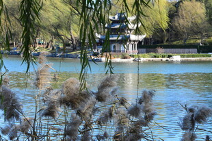 公园风景 