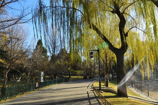 公园风景  