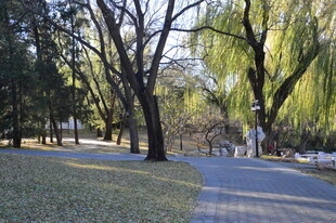公园风景 