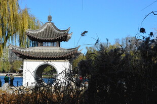 公园风景 