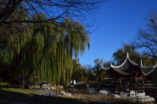 公园风景 
